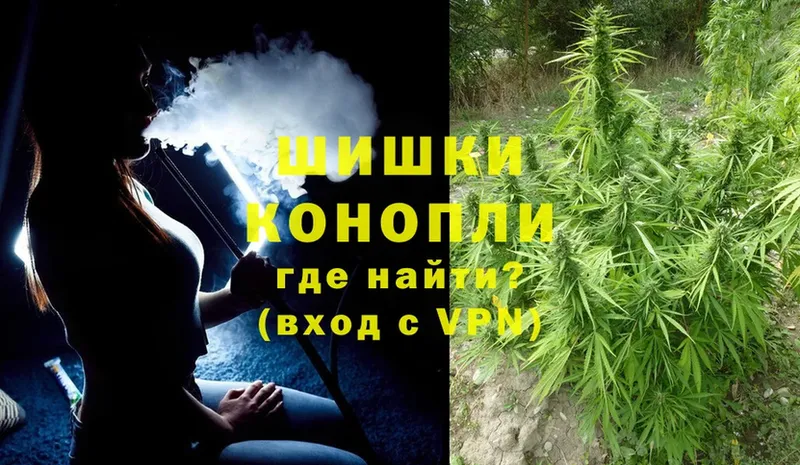 Бошки Шишки White Widow  что такое   Козельск 